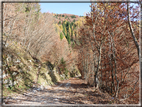 foto Da Rocca di Arsie al Col di Baio